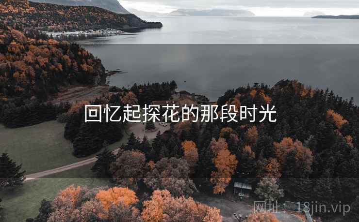 回忆起探花的那段时光 第2张 回忆起探花的那段时光 第2张