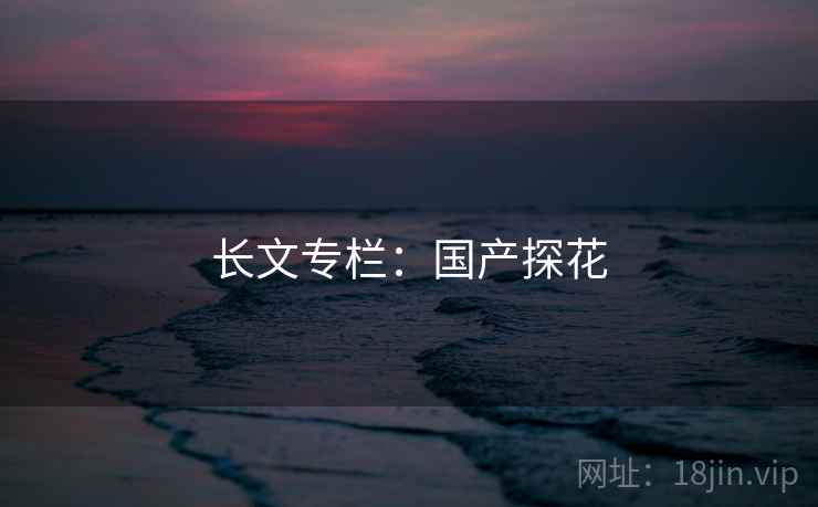 长文专栏:国产探花