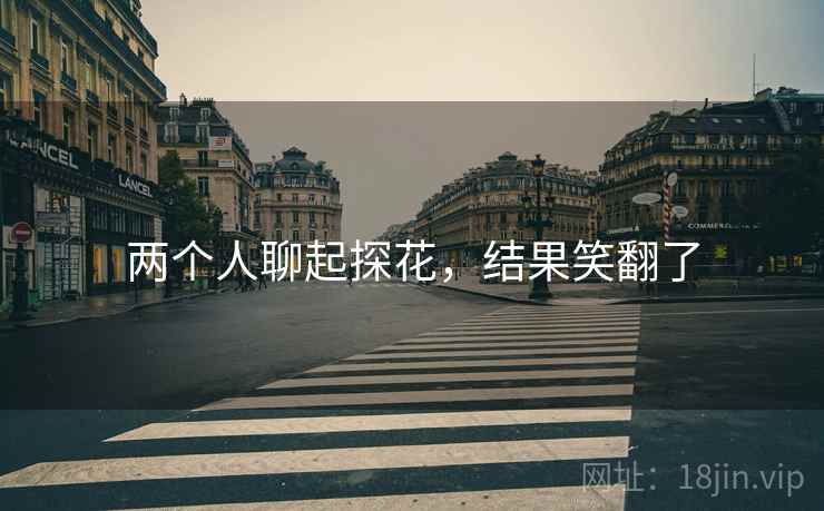 两个人聊起探花，结果笑翻了