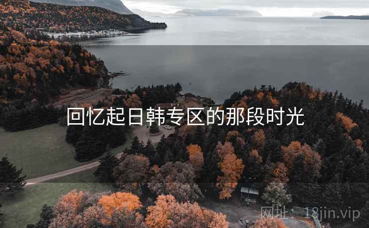 回忆起日韩专区的那段时光